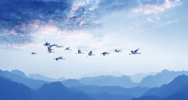 20230214-IL-Singapore-TopBanner-1500×800-mobile-comp - IMD Business School