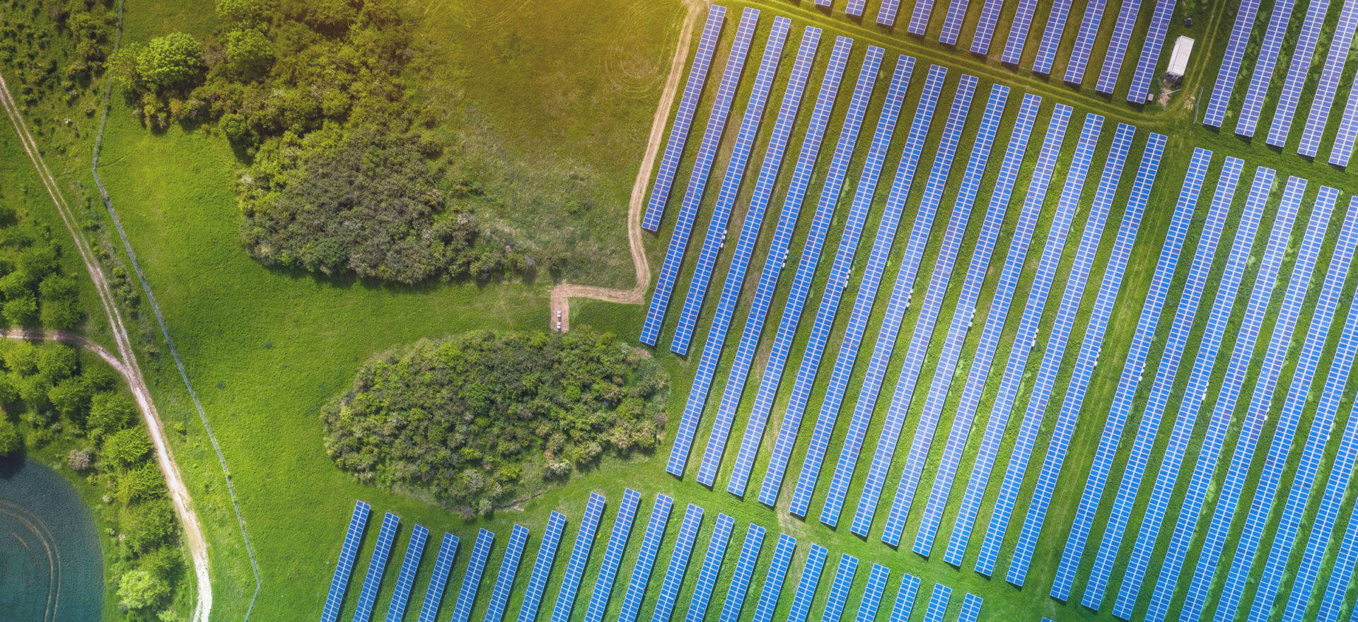 20230301-Category-Sustainability-TopBanner-tablet-2400×1100-MH - IMD Business School