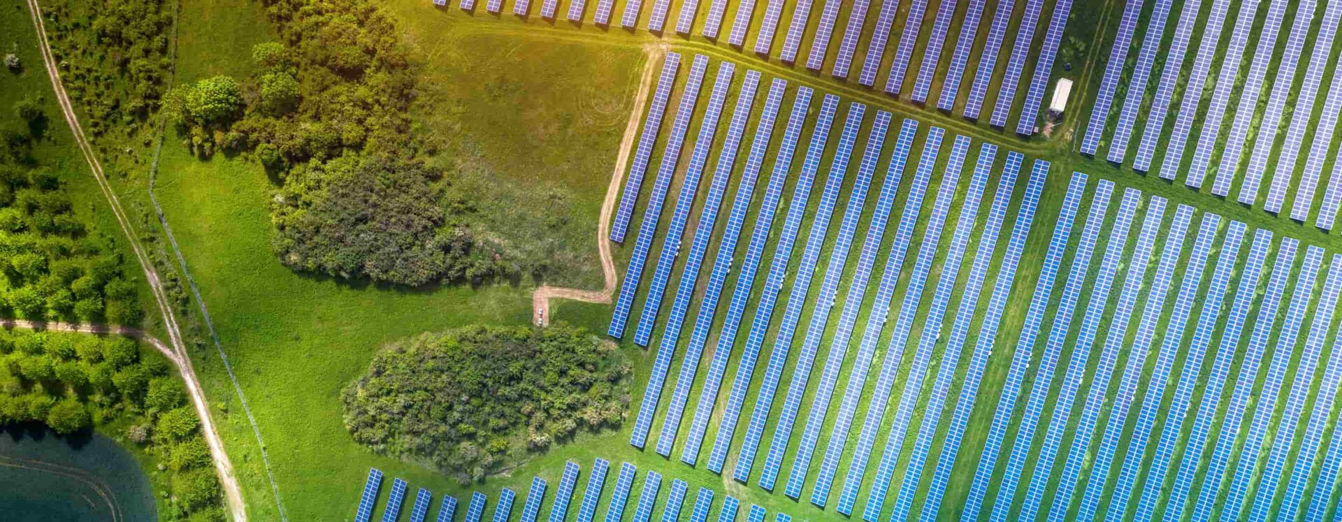 20230316-Categories-Sustainability-TopBanner-2880×1120-AJ-comp - IMD Business School