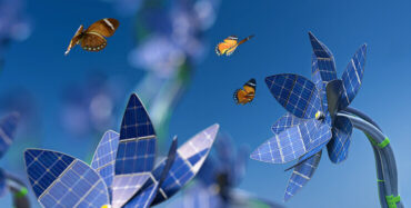 20230925-DI-program-finder-740×374 - IMD Business School