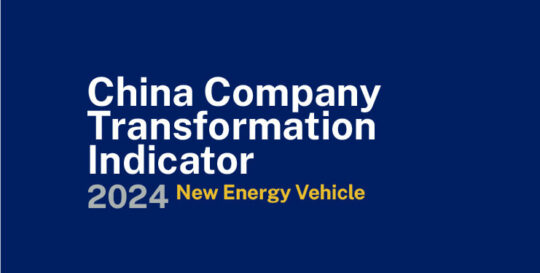 20240703-2024-CCTI-new-energy-vehicle_small-card-740x374 - IMD Business School