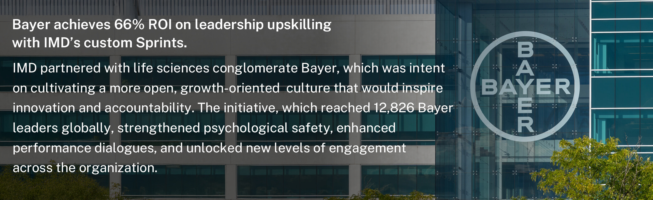 20251202-B2B-Byer-Website-Block-Bannerx2 2 - IMD Business School