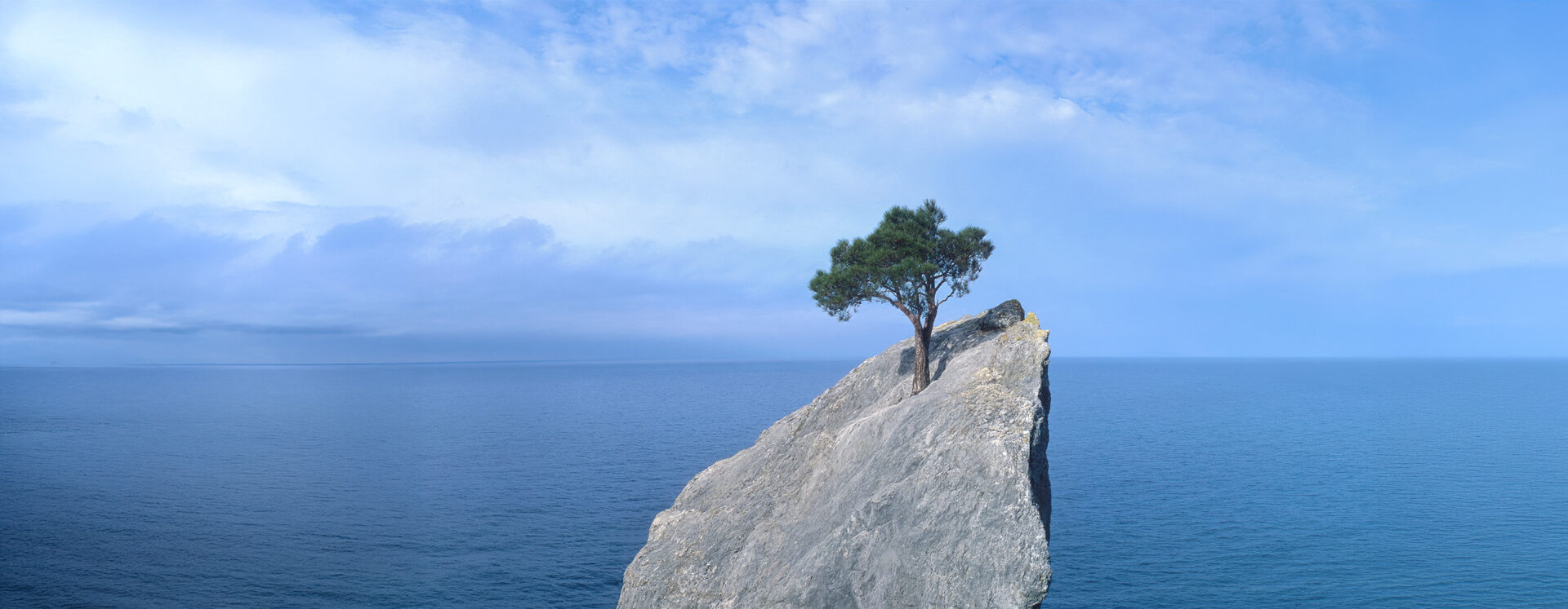 desktop-2880x1120 - IMD Business School