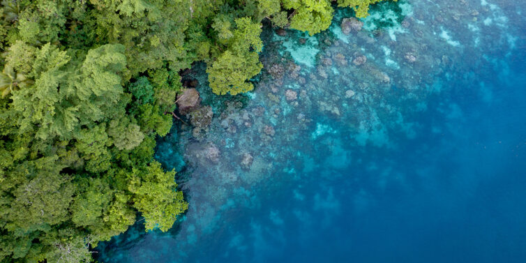 IMD2025-Biodiversity-CommsAssets_IbyIMD-WhitepapersCard-1800x899 - IMD Business School