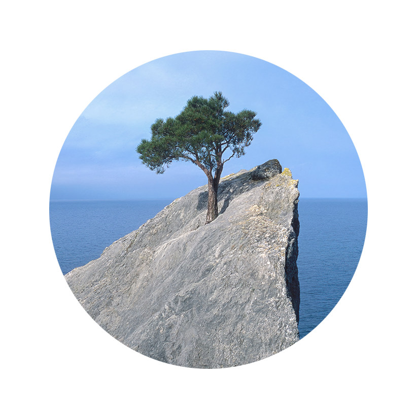 20260202-SPRINT-RLS-Blocks-Desktop-822x822 - IMD Business School