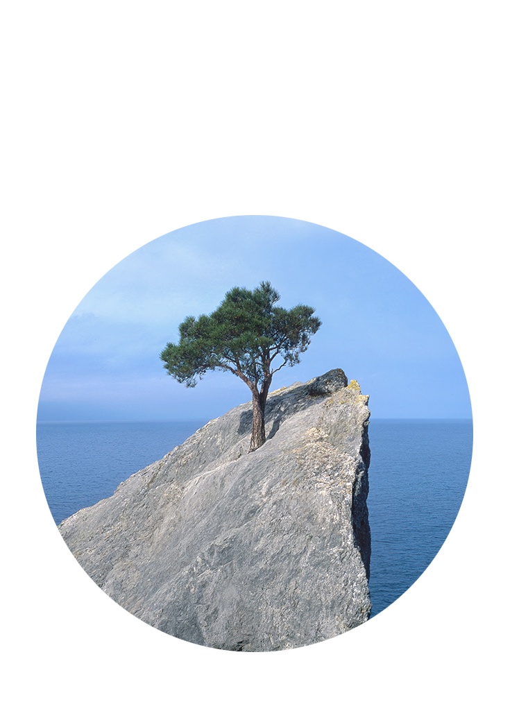 20260202-SPRINT-RLS-Blocks-Mobile-748x1048 - IMD Business School